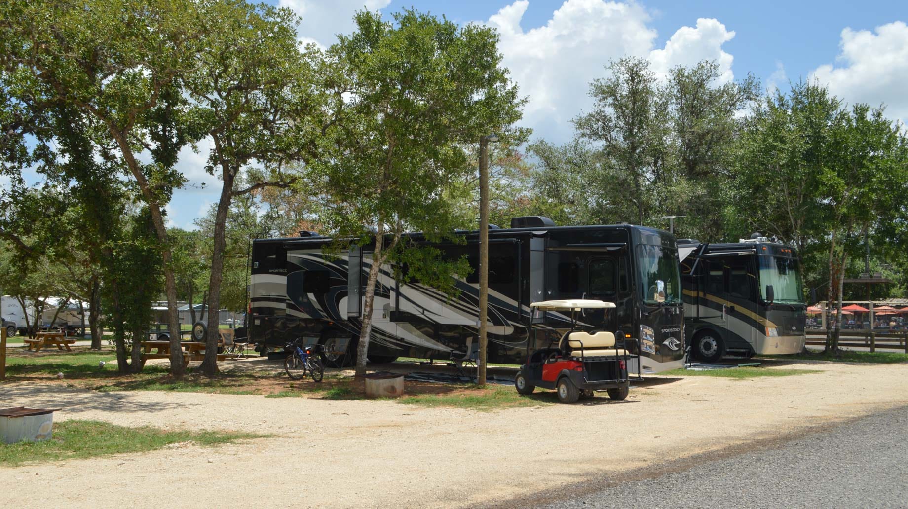 Two large RVs are parked under trees at a campsite with a gravel path.