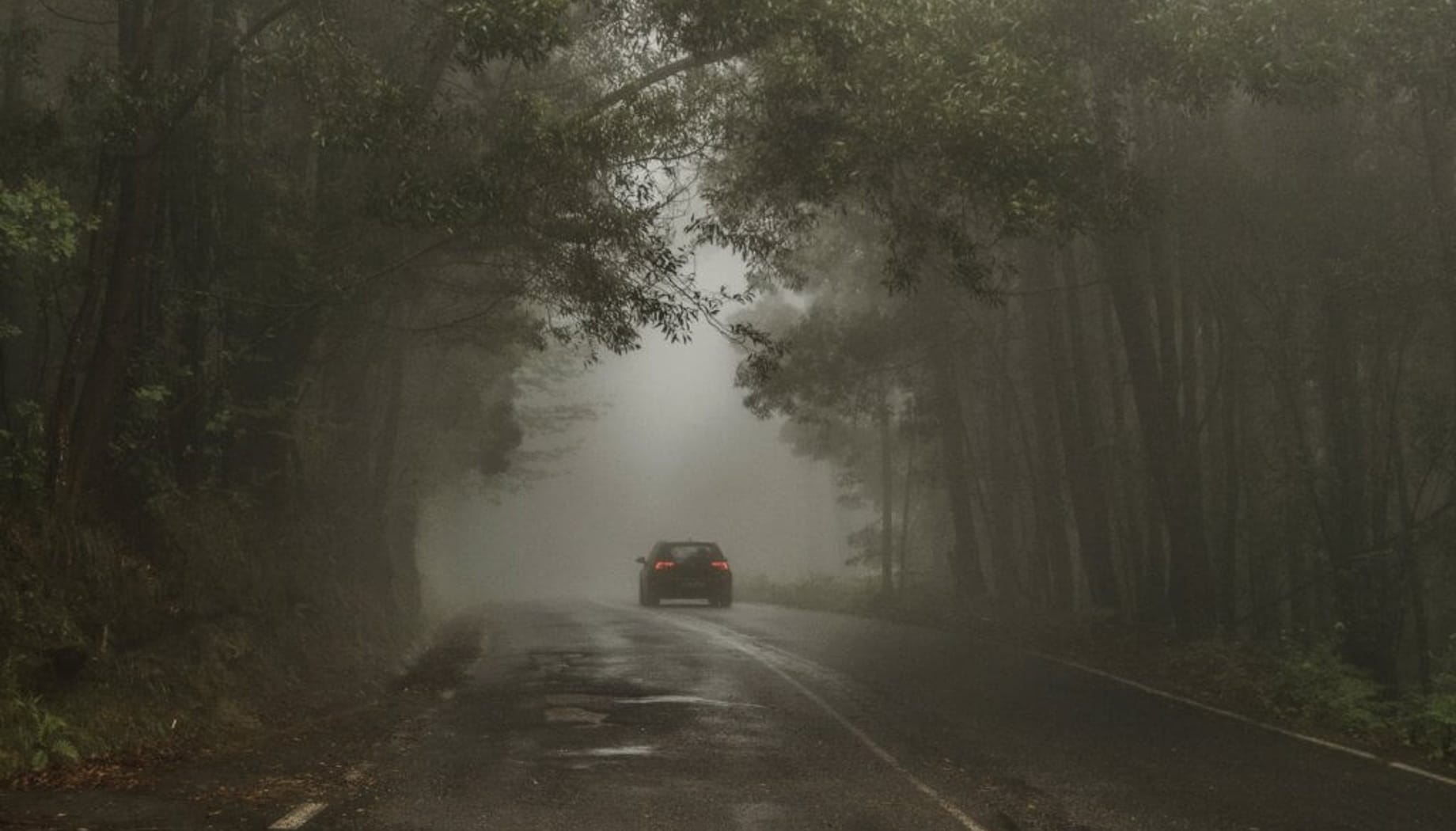 Car driving down a very foggy road in the woods.