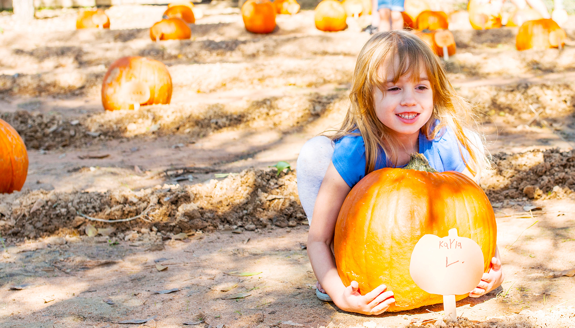 Girl holding a large pumpkin in a pumpkin patch.