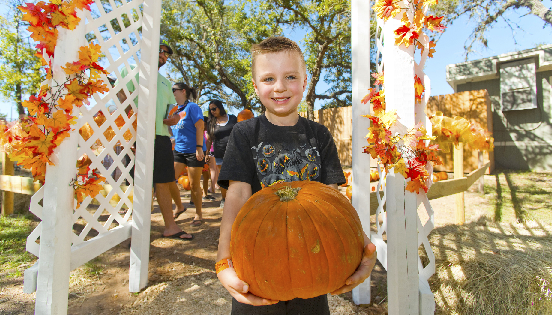 Boy holding a large, round pumpkin at a pumpkin patch.