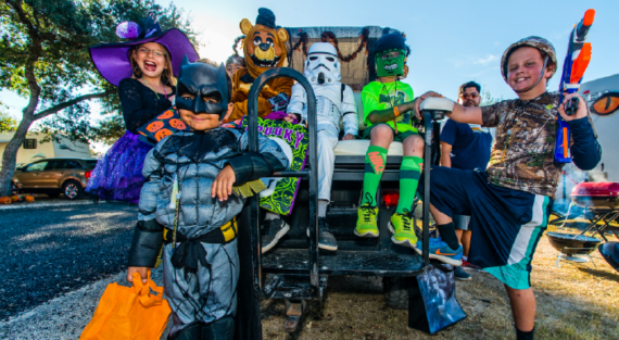 Fall-Festival-Book-Now-Button