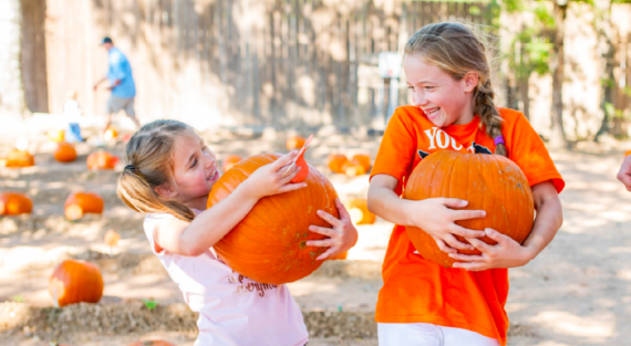 Fall-Festival-FAQ-Button